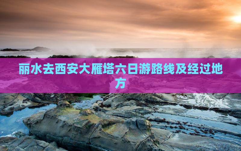 丽水去西安大雁塔六日游