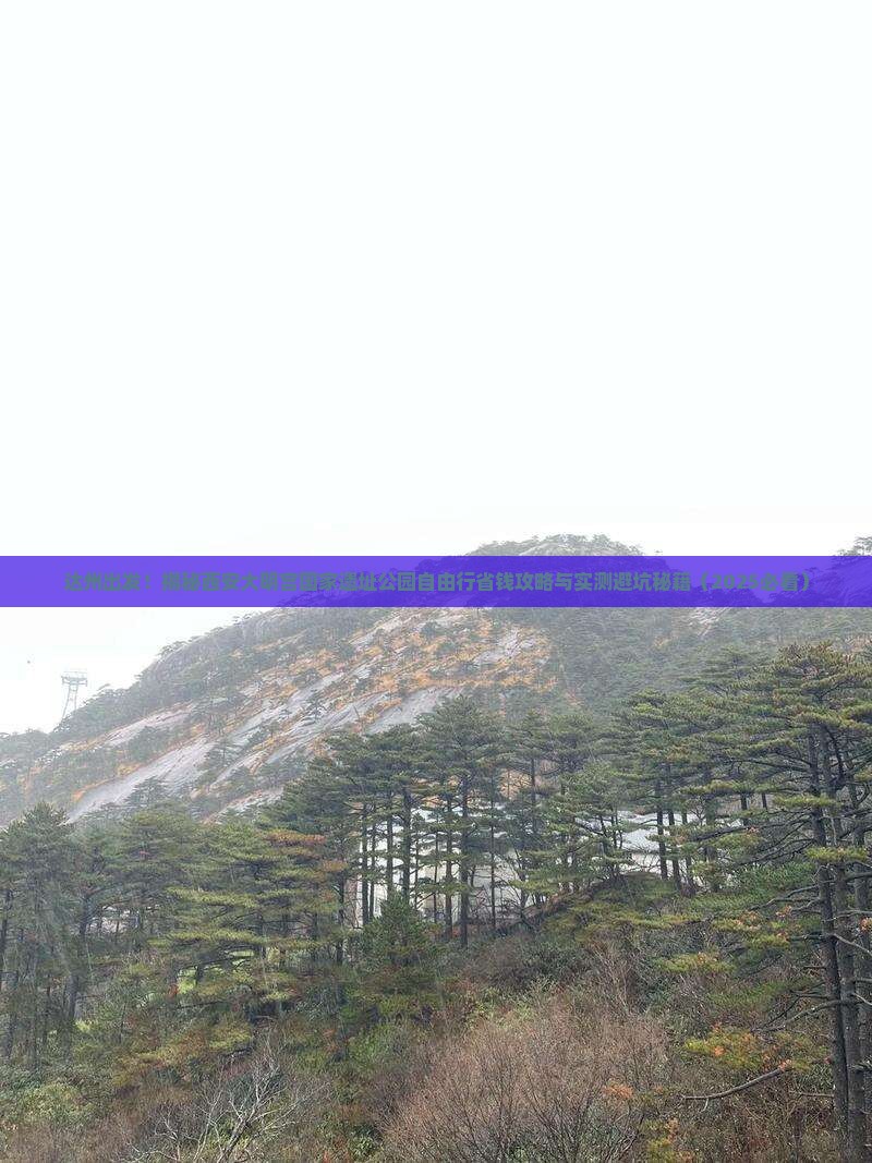 达州去西安大明宫国家遗址公园自由团