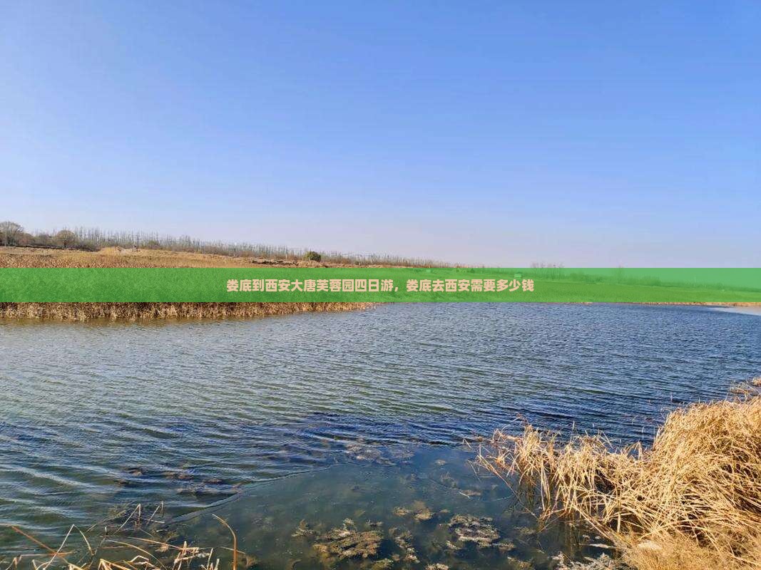 娄底到西安大唐芙蓉园四日游