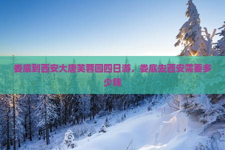 娄底到西安大唐芙蓉园四日游