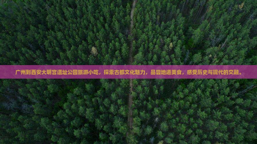 广州到西安大明宫国家遗址公园旅游小吃