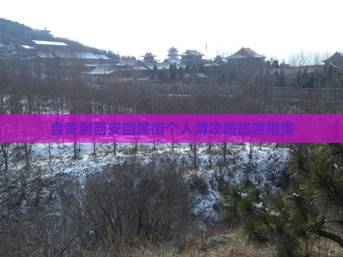 自贡到西安回民街个人游