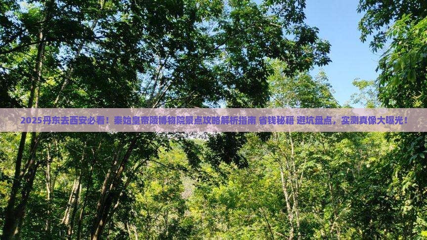 丹东去西安秦始皇帝陵博物院景点