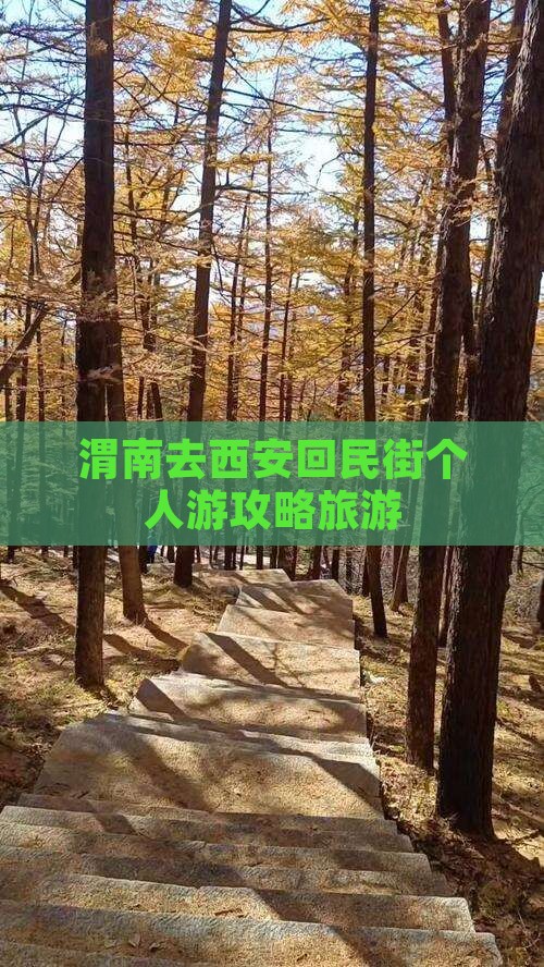 渭南去西安回民街个人游