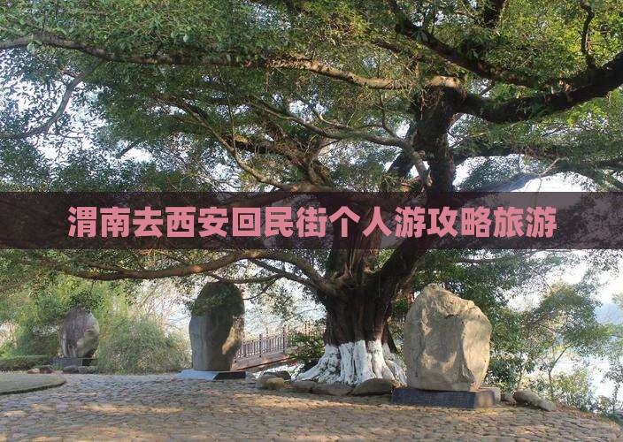 渭南去西安回民街个人游