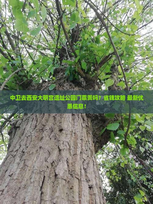 中卫去西安大明宫国家遗址公园门票