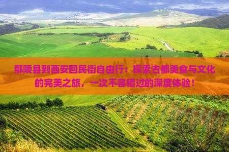 鄢陵县到西安回民街自由行