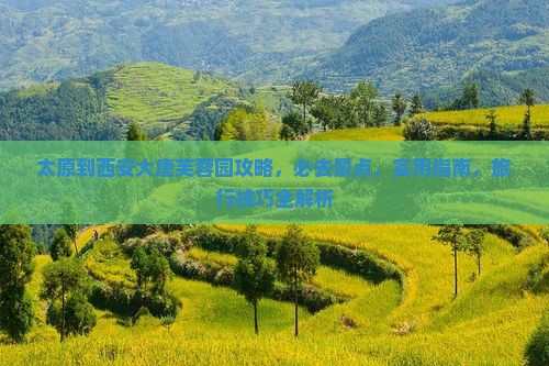 太原到西安大唐芙蓉园攻略