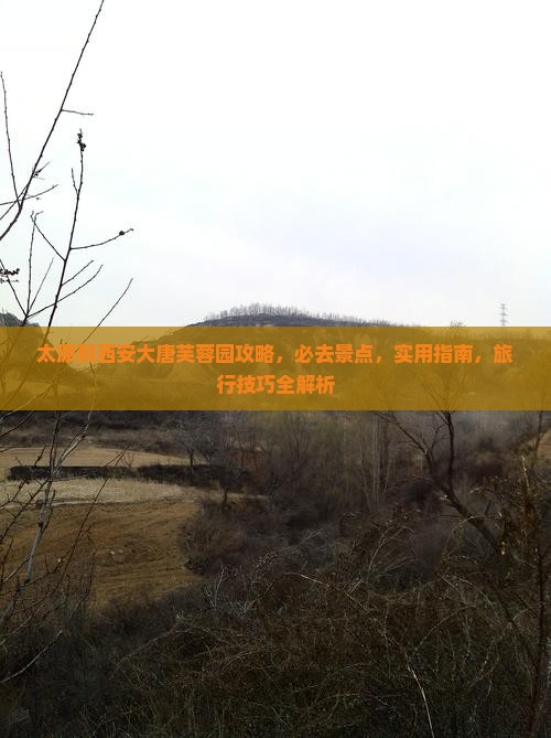 太原到西安大唐芙蓉园攻略