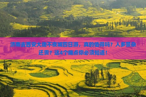 济南去西安大唐不夜城四日游