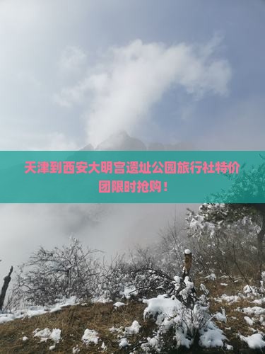天津到西安大明宫国家遗址公园旅行社