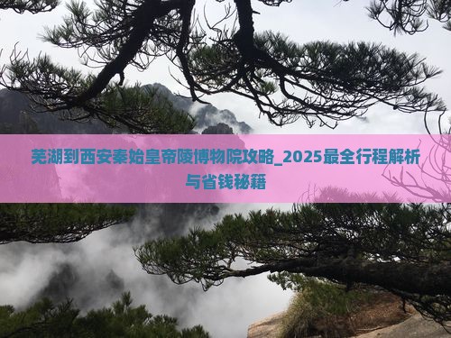 芜湖到西安秦始皇帝陵博物院攻略