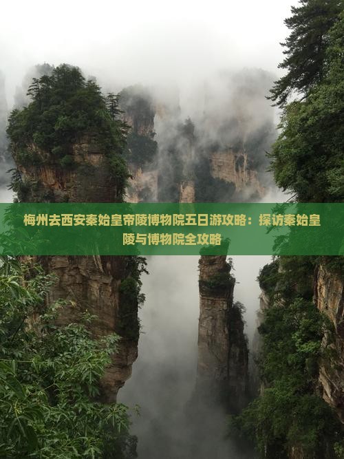 梅州去西安秦始皇帝陵博物院五日游