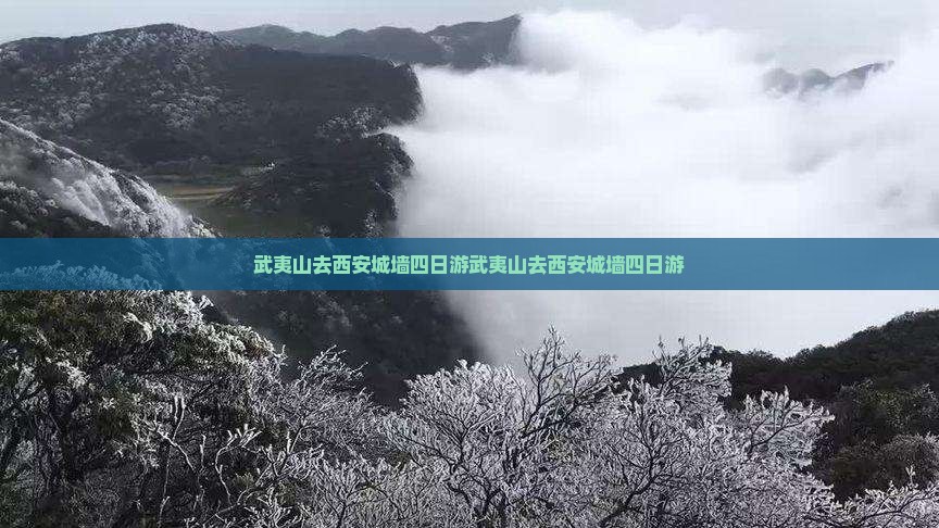 武夷山去西安城墙四日游
