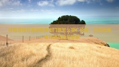 呼和浩特到西安回民街门票 呼和浩特到西安回民街门票
