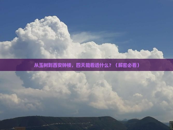 玉树到西安钟楼四日游