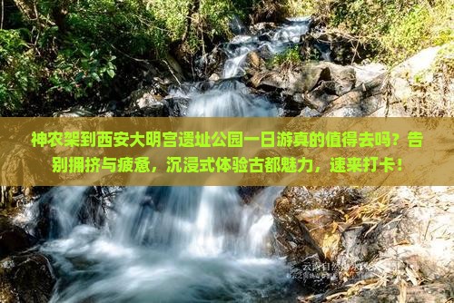 神农架到西安大明宫国家遗址公园一日游