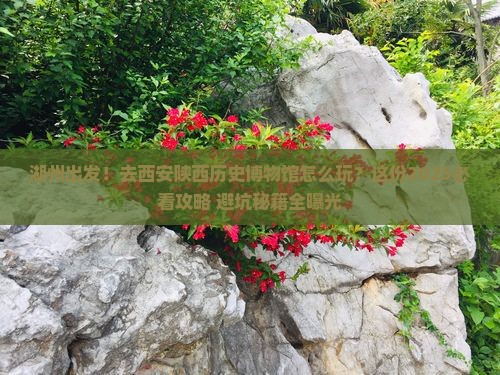 湖州到西安陕西历史博物馆攻略