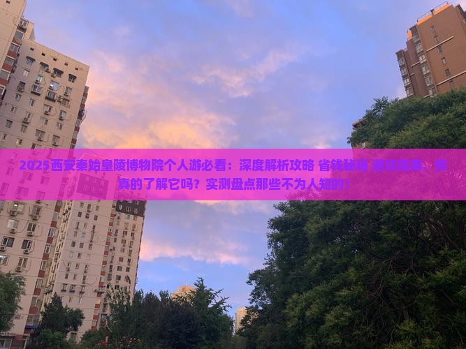 冬天去西安秦始皇帝陵博物院个人游