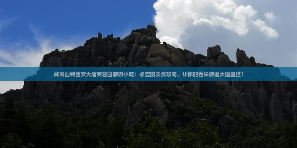 武夷山到西安大唐芙蓉园旅游小吃 武夷山到西安大唐芙蓉园旅游小吃