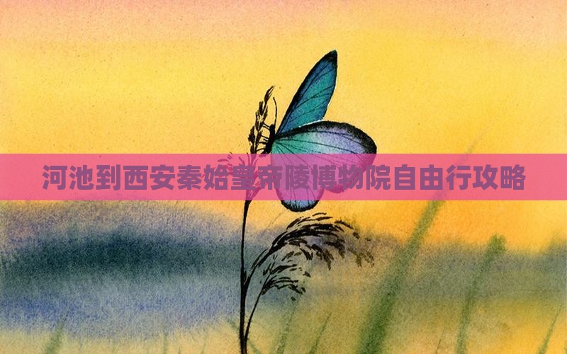 河池到西安秦始皇帝陵博物院自由行