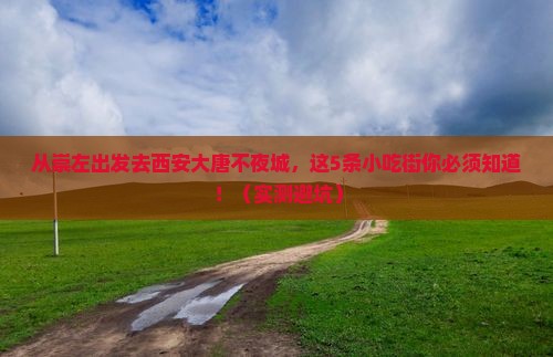 崇左去西安大唐不夜城旅游小吃