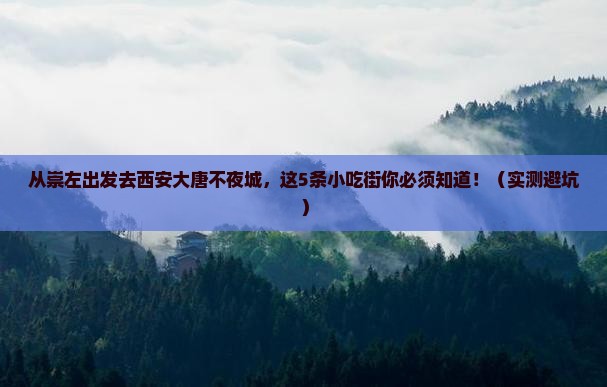 崇左去西安大唐不夜城旅游小吃
