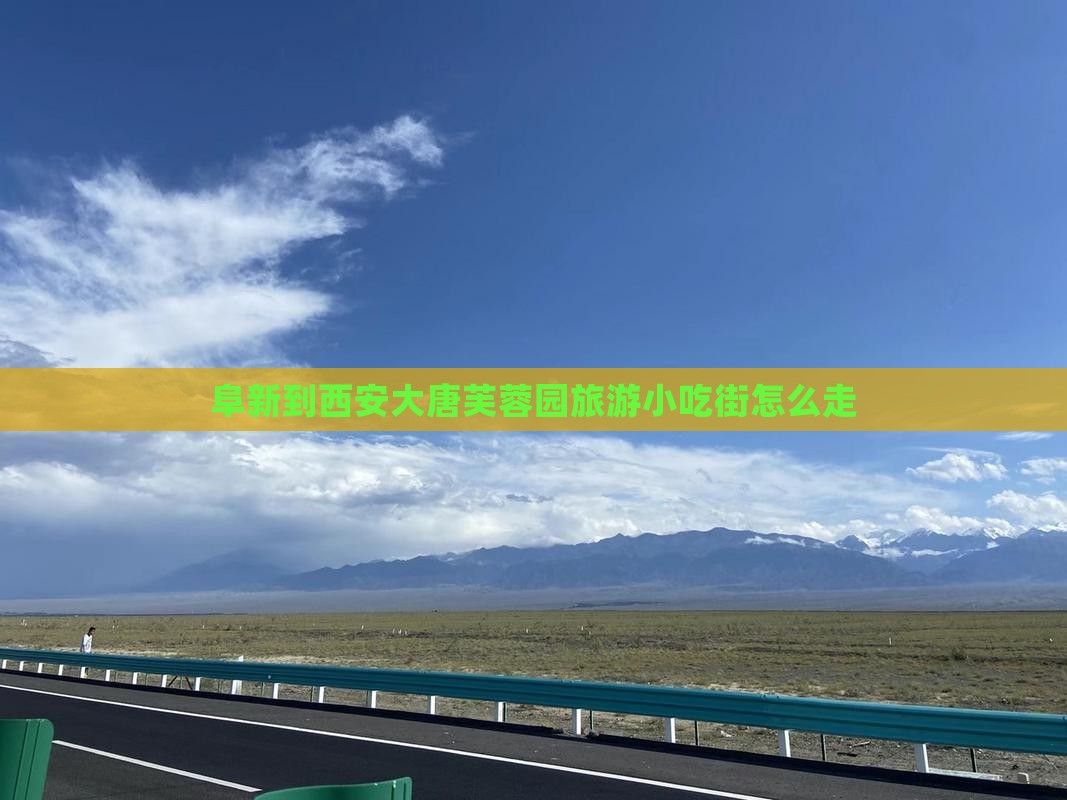 阜新到西安大唐芙蓉园旅游小吃