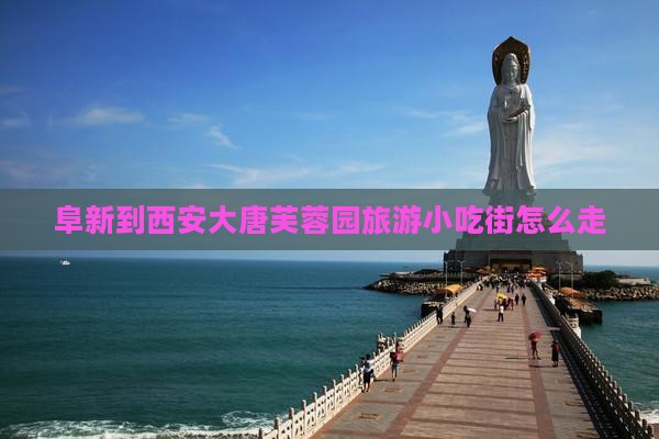 阜新到西安大唐芙蓉园旅游小吃