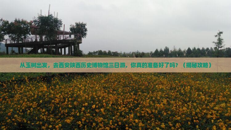 玉树去西安陕西历史博物馆三日游