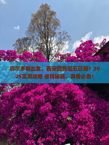 鄂尔多斯到西安回民街五日游