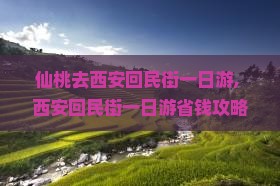 仙桃去西安回民街一日游