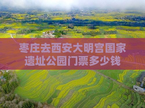 枣庄去西安大明宫国家遗址公园门票