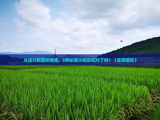 绍兴去西安城墙旅游小吃