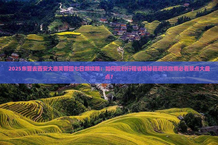 东营去西安大唐芙蓉园七日游