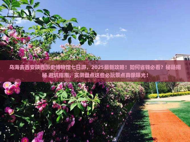 乌海去西安陕西历史博物馆七日游
