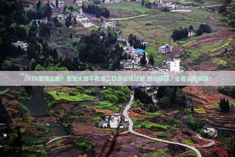 淄博到西安大唐不夜城二日游