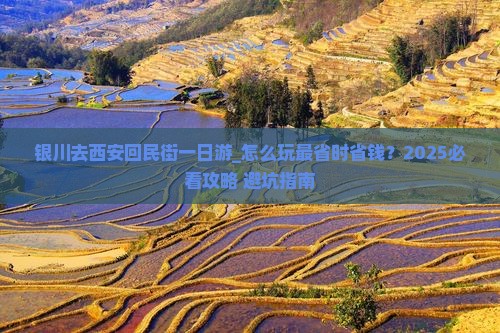 银川去西安回民街一日游