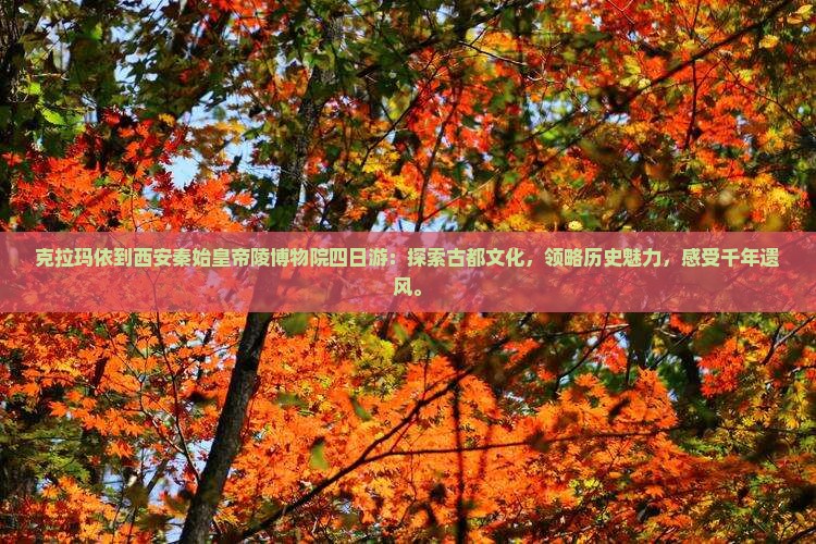 克拉玛依到西安秦始皇帝陵博物院四日游
