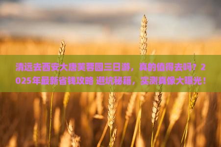 清远去西安大唐芙蓉园三日游