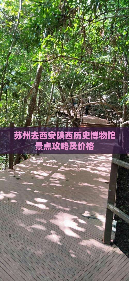 苏州去西安陕西历史博物馆景点