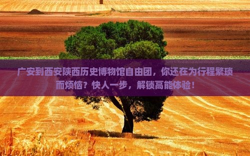广安到西安陕西历史博物馆自由团