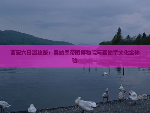 春节到西安秦始皇帝陵博物院六日游