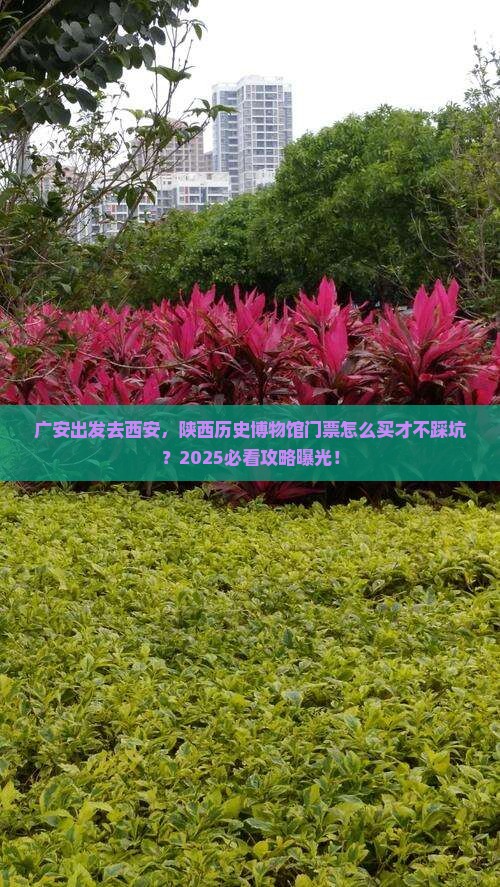 广安到西安陕西历史博物馆门票