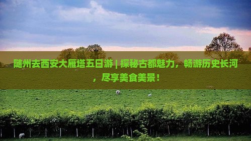 随州去西安大雁塔五日游