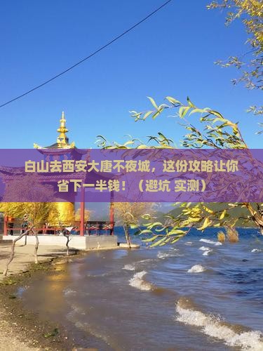 白山去西安大唐不夜城旅行社