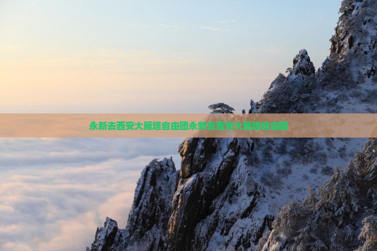 永新去西安大雁塔自由团