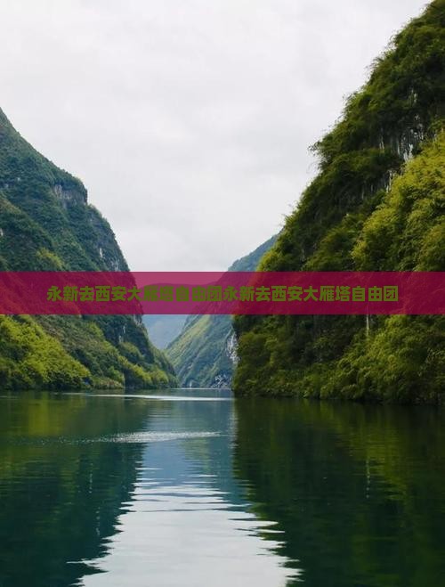 永新去西安大雁塔自由团