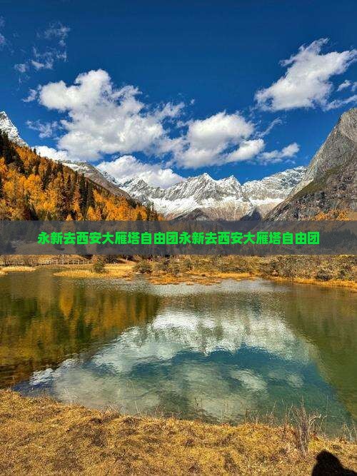 永新去西安大雁塔自由团