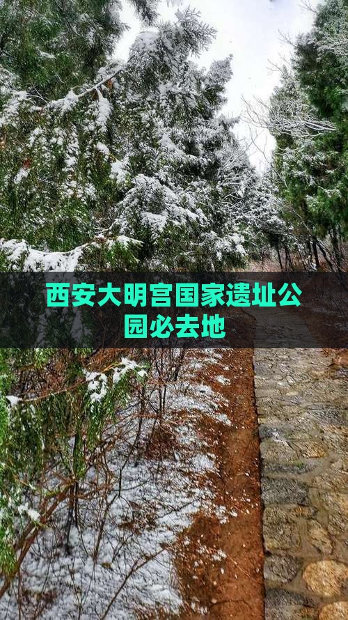 春天到西安大明宫国家遗址公园必去地